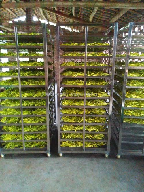 黃花菜烘干機(jī)、黃花菜烘干設(shè)備、黃花菜干燥機(jī)、黃花菜干燥設(shè)備、